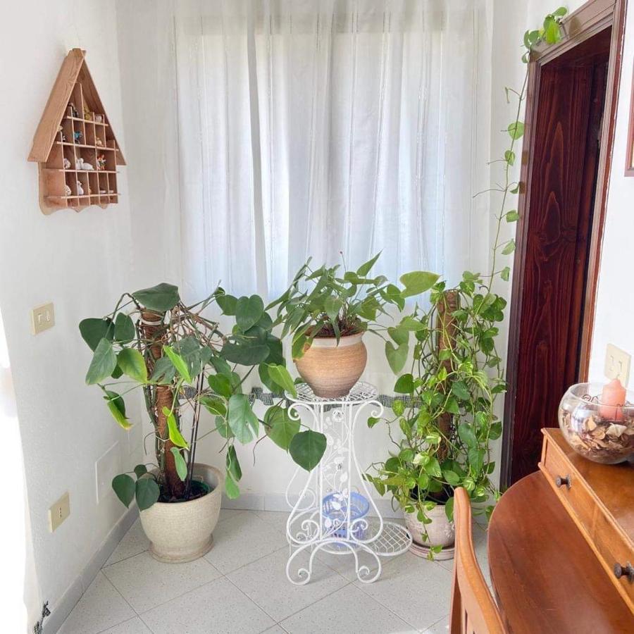 Casa Maltinu Villa Santa Teresa Gallura Exteriör bild