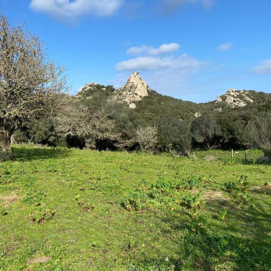 Casa Maltinu Villa Santa Teresa Gallura Exteriör bild