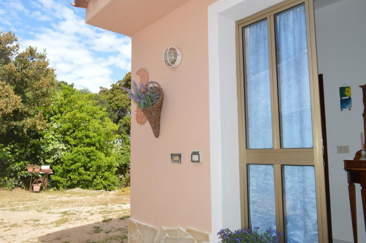 Casa Maltinu Villa Santa Teresa Gallura Exteriör bild