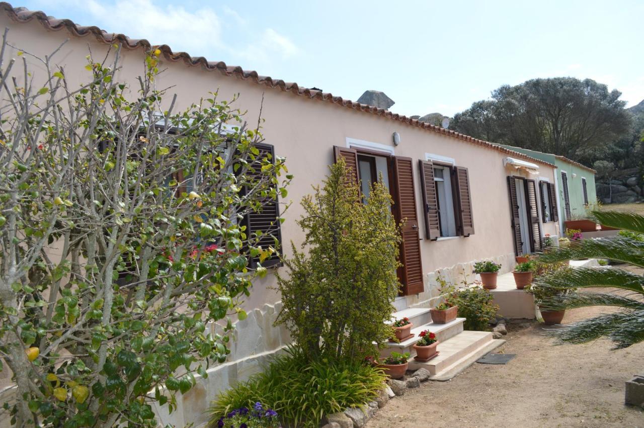 Casa Maltinu Villa Santa Teresa Gallura Exteriör bild